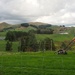 Lawn mowing NZ style by happypat