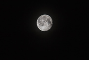 25th Mar 2016 - Moon