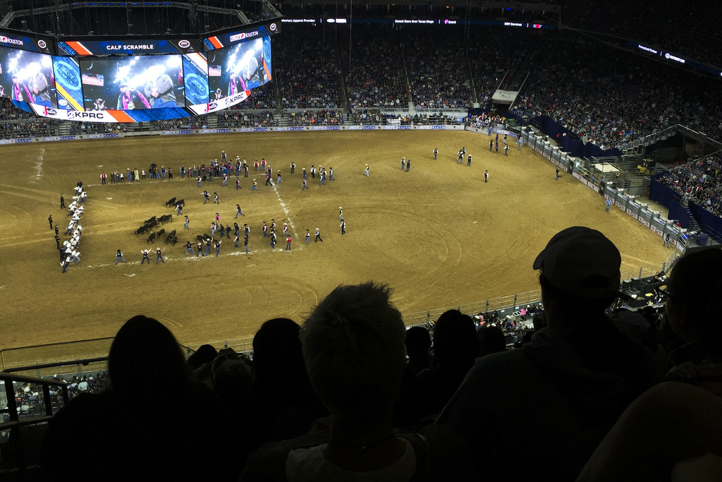 The rodeo by erinhull