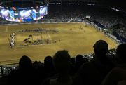 20th Mar 2016 - The rodeo