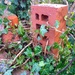 Unused brick.  by 365projectdrewpdavies