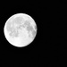 Full Moon  by wendyfrost