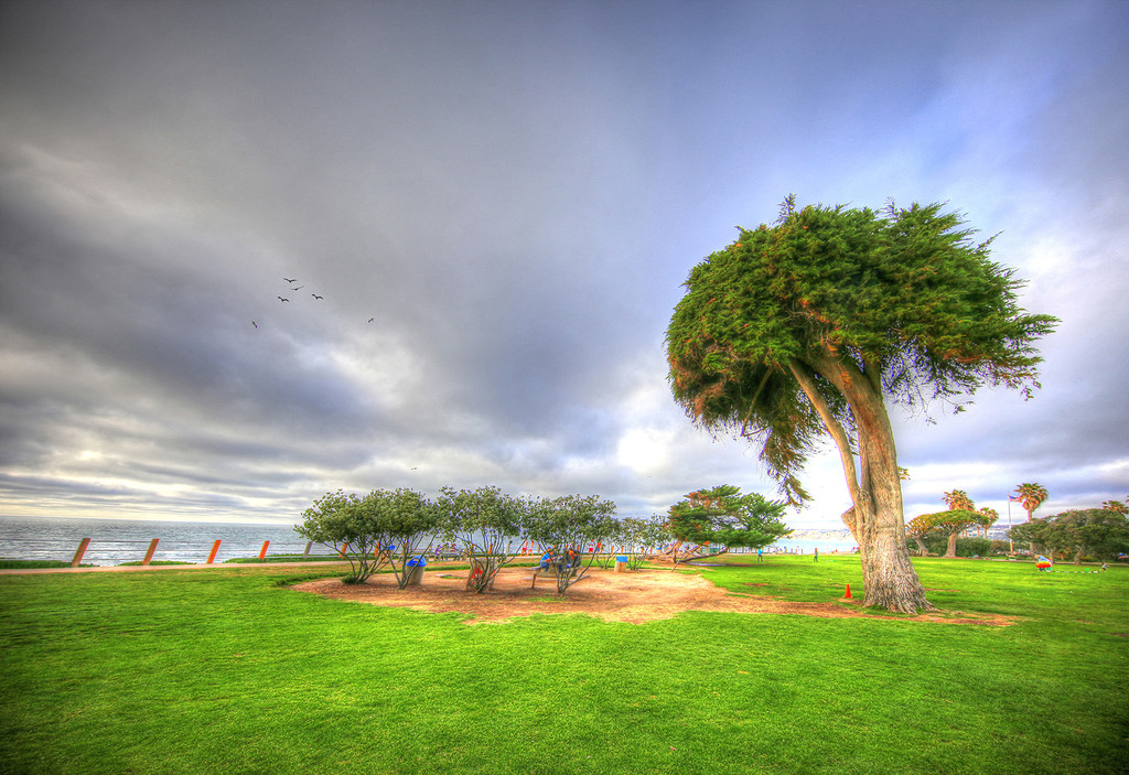 Dr. Seuss Tree ... by pdulis