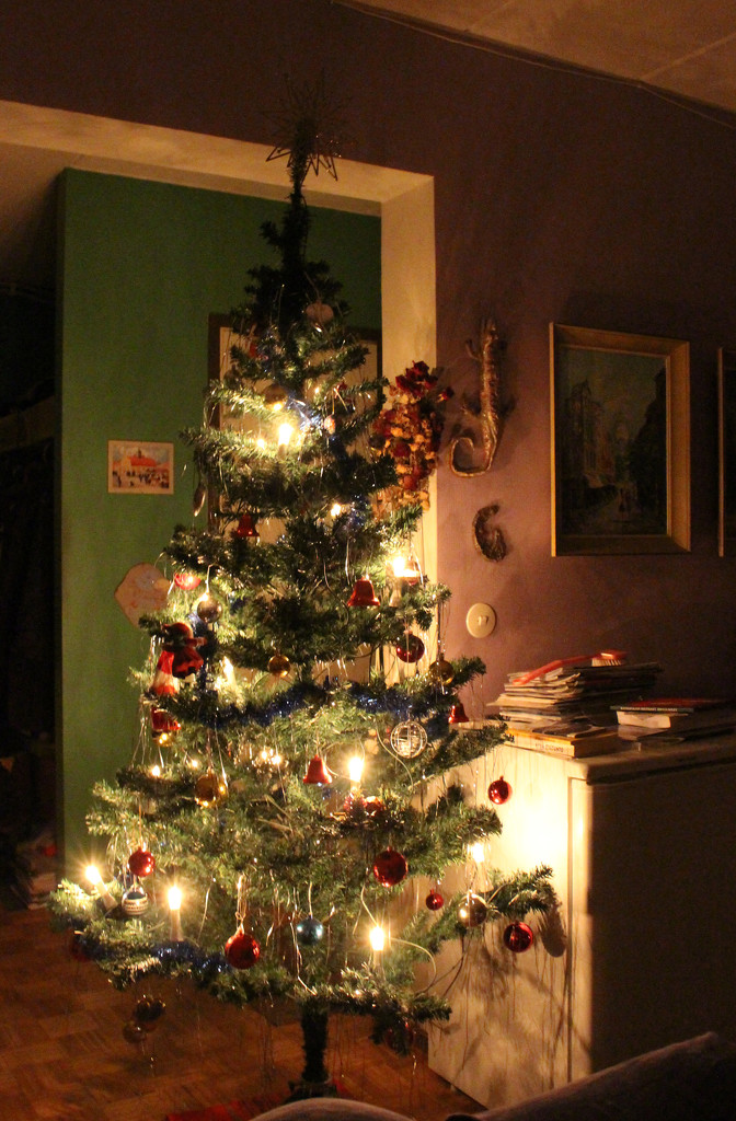 Christmas tree by annelis