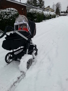 2nd Feb 2016 - Baby carriage
