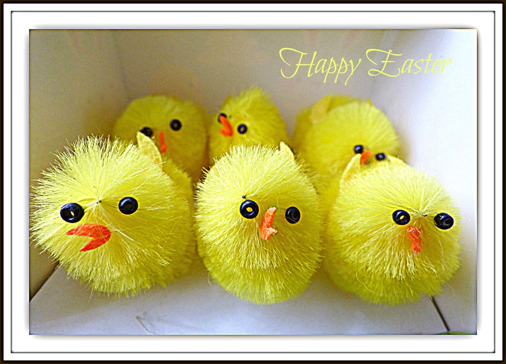 Easter Chics  by beryl