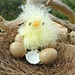 Easter  Chick by wendyfrost