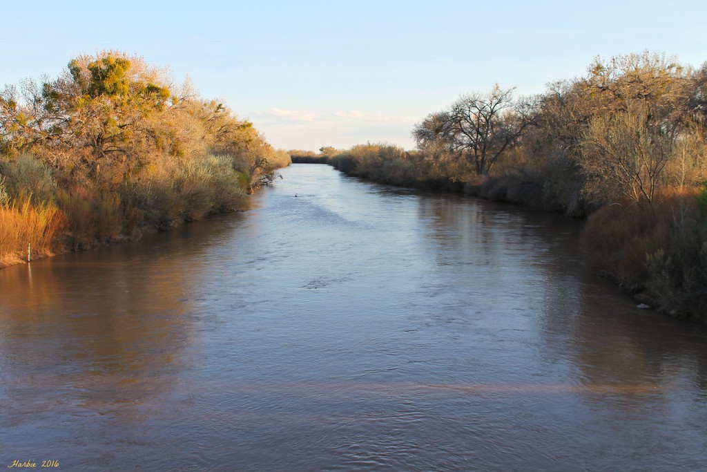 The Rio Grande River by harbie
