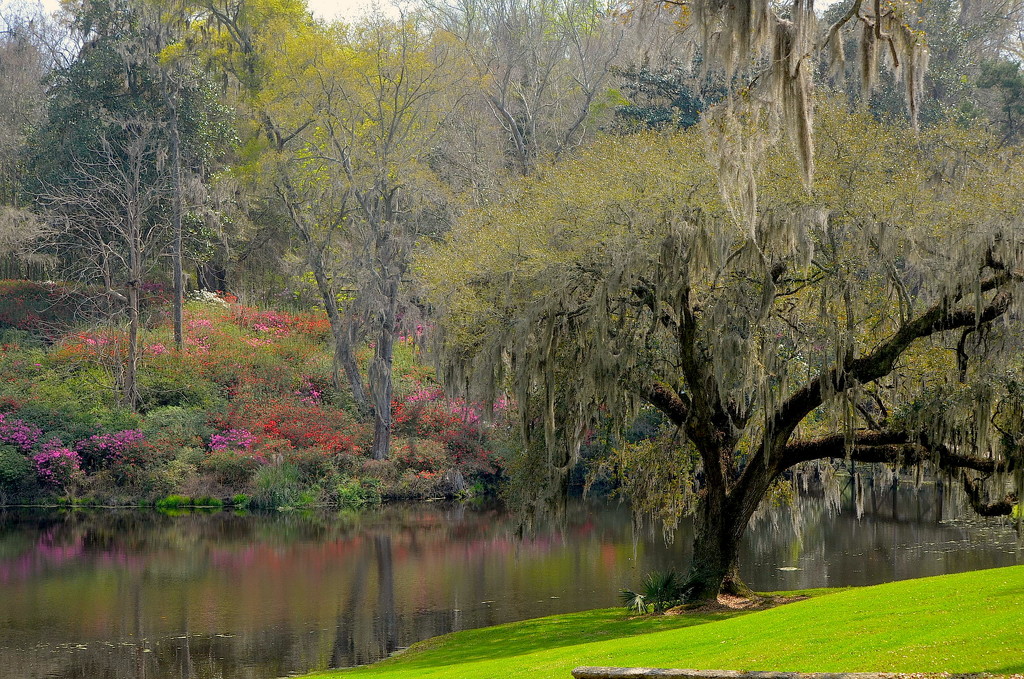 Middleton Place Gardens, Charleston, SC by congaree