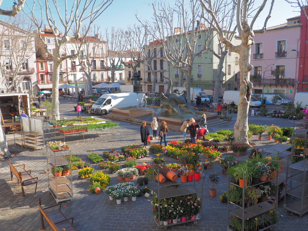 Windy day at the flower market in Sète by laroque