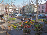 26th Mar 2016 - Windy day at the flower market in Sète