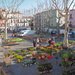 Windy day at the flower market in Sète by laroque