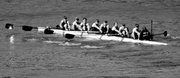 27th Mar 2016 - Oxford vs Cambridge Woman's Boat Race