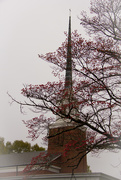 27th Mar 2016 - Church spire with red dogwoods