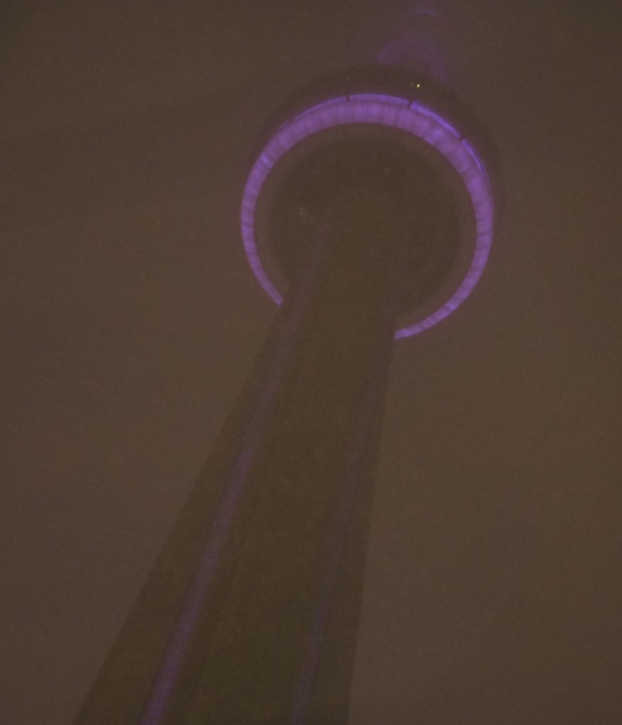 CN Tower in a Snowstorm by selkie