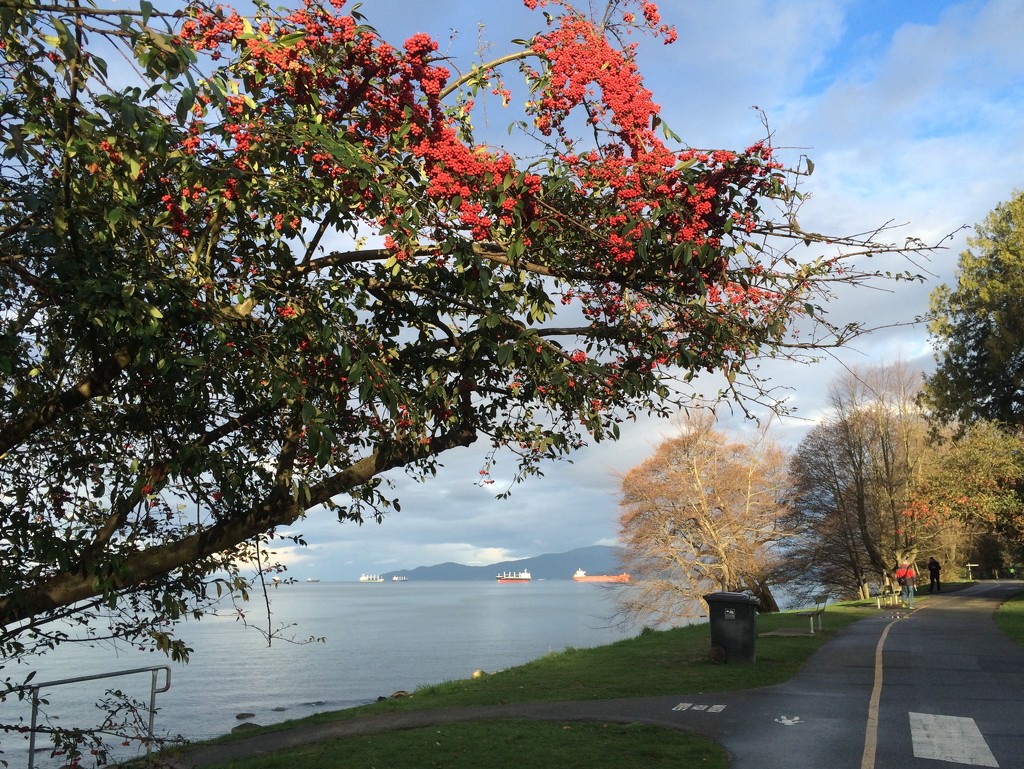 English Bay by selkie