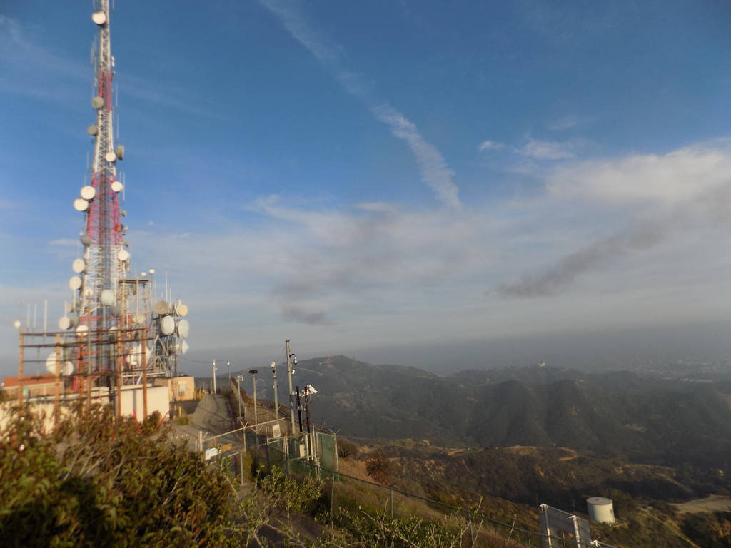 Hollywood Sign Antennae by jnadonza
