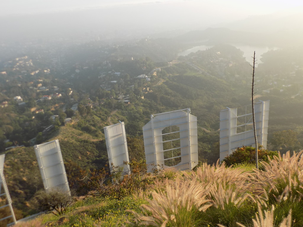 Behind the Hollywood Sign by jnadonza