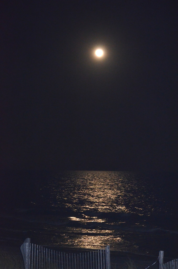 Full moon over the Atlantic, Folly Beach, SC by congaree