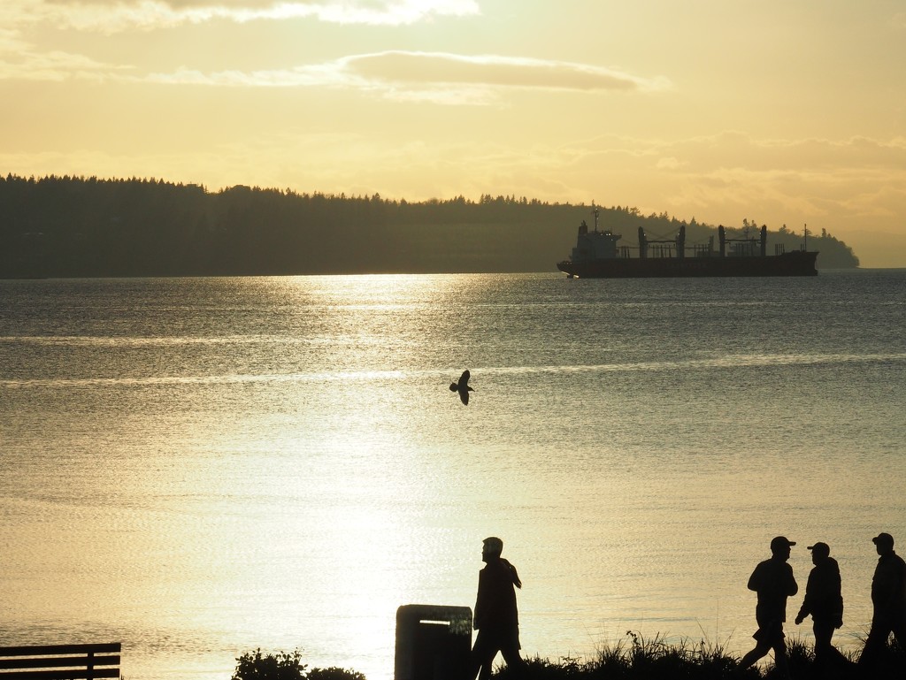 Golden Evening by selkie