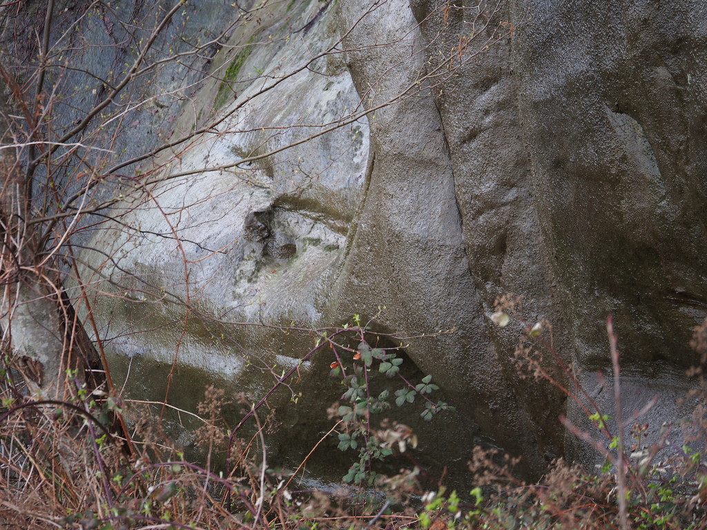 Faces in the Rocks - 2 by selkie