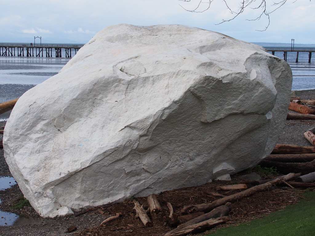 White Rock by selkie