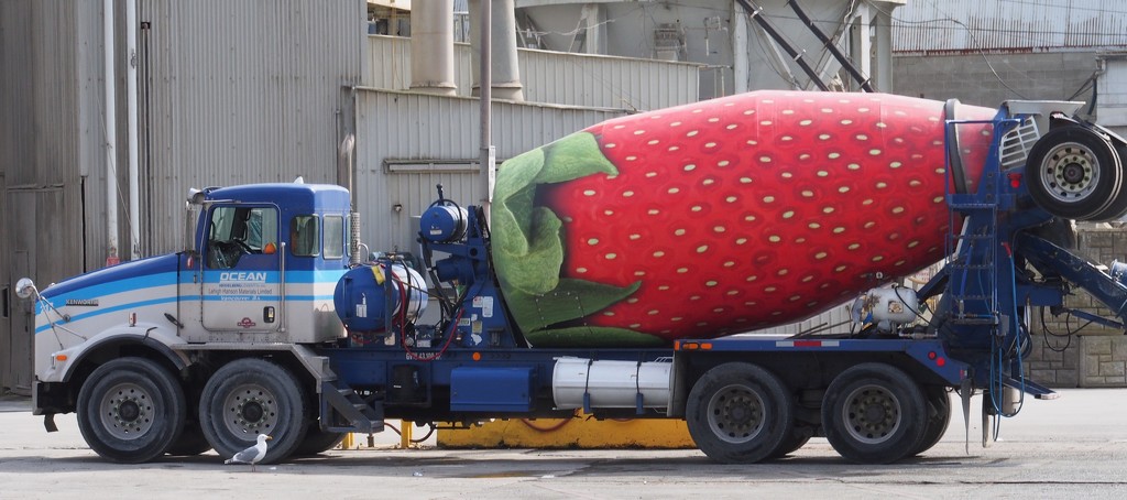Big Strawberry! by selkie