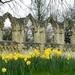 Spring in York by fishers