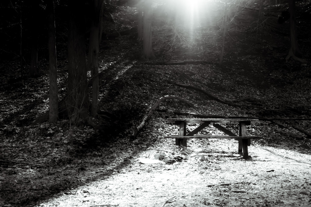 light on picnic table by northy