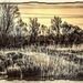 Marsh Land by stuart46