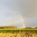 Early morning rainbow.  by 365projectdrewpdavies