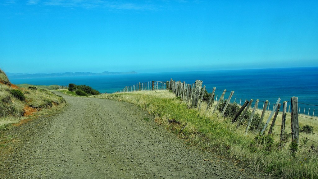 Metal road to Ruapuke beach by happypat