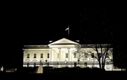 29th Mar 2016 - The White House