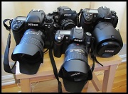 3rd Dec 2010 - I'm a Nikon (D)SLR