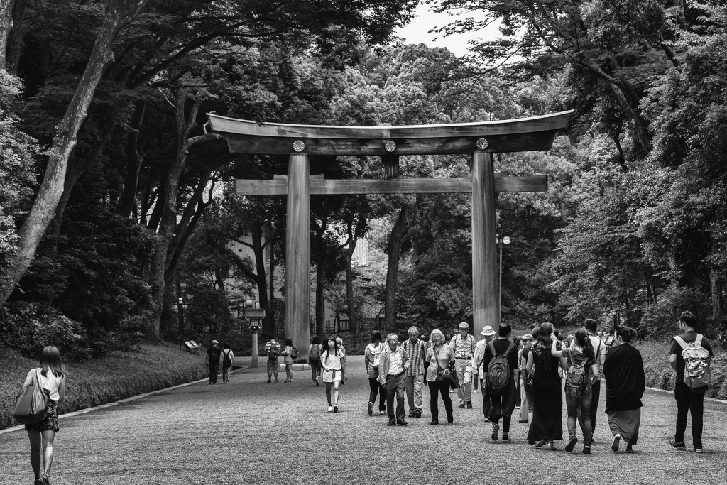 Entrance to Meiji Shrine--Tokyo Series by darylo
