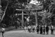 6th Oct 2015 - Entrance to Meiji Shrine--Tokyo Series