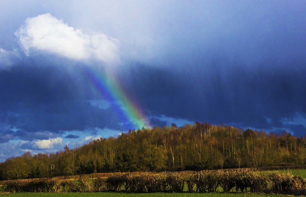 Almost a rainbow by shepherdman