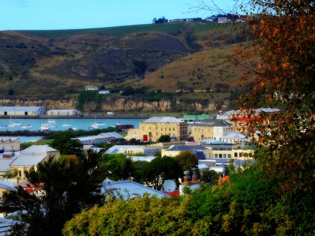 Oamaru from the hill by maggiemae