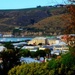 Oamaru from the hill by maggiemae