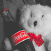 (Day 45) - Polar Bear & Coke by cjphoto
