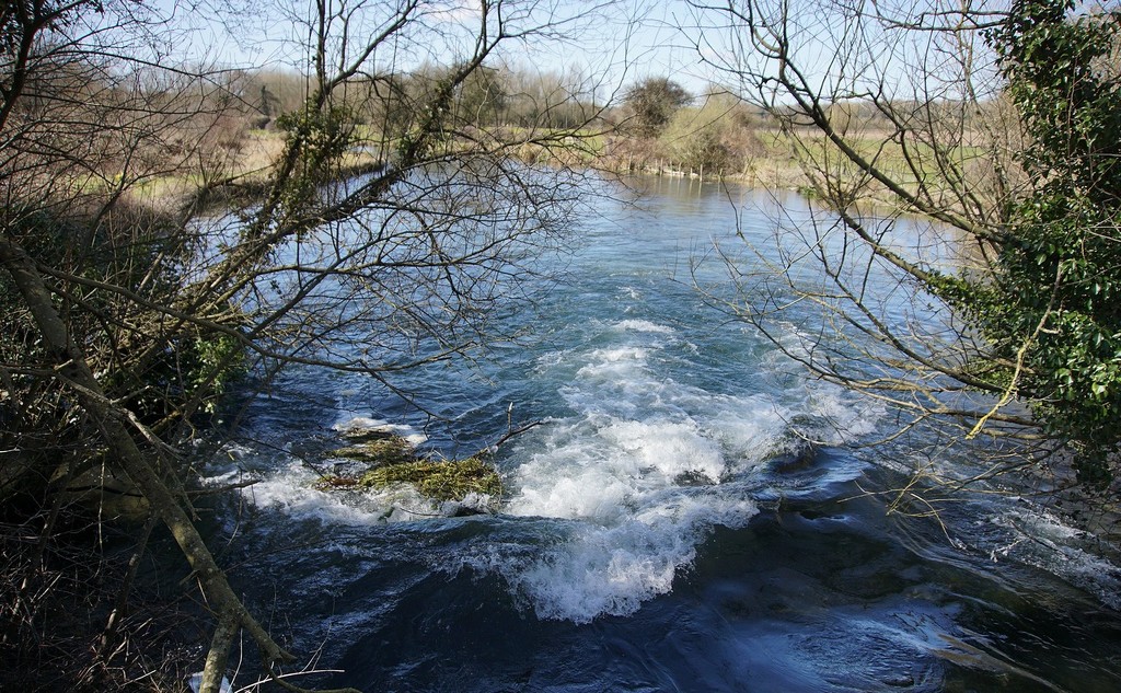 the River Itchen... by quietpurplehaze