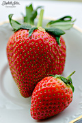 31st Mar 2016 - Large and small strawberries
