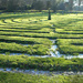 Grass Maze. by wendyfrost