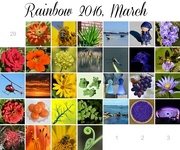 1st Apr 2016 - My Completed Rainbow Calendar