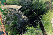 31st Jan 2016 - a stroll in the bush - through the trees and the rocks