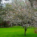 Magnolia Gardens by congaree
