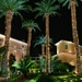 Palm trees by night.  by cocobella