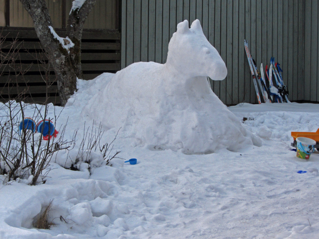 Snow Horse by annelis