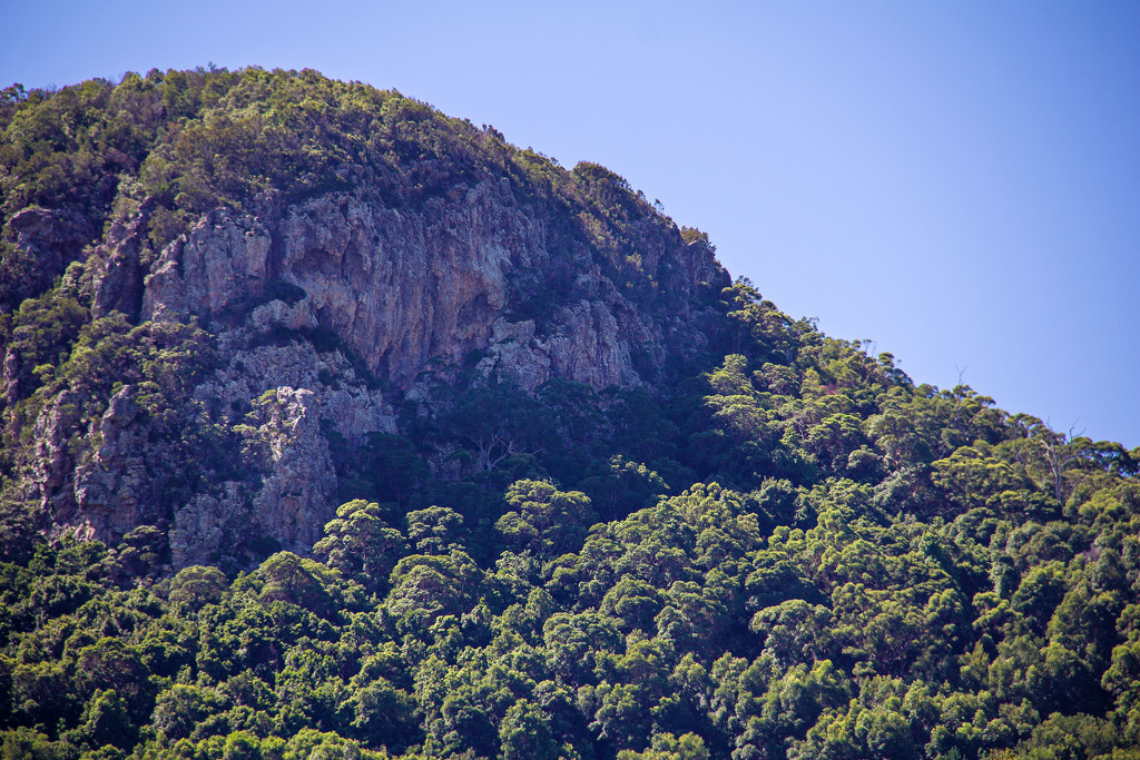 Heart of the mountain... by corymbia