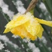 Spring in Michigan by susanharvey